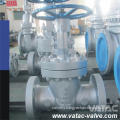 Vatac Wcb/Ss304/Ss316cast Steel Gate Valve with RF/Rtj